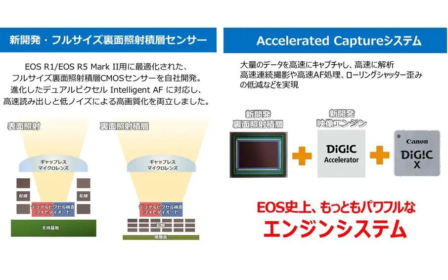 【Canon】 キヤノン ミラーレス カメラ EOS R1 ボディーのみ キャノン 一眼 家電 高性能 ハイエンド フラグシップ レンズ交換式 フルサイズ レンズ交換式_0046C
