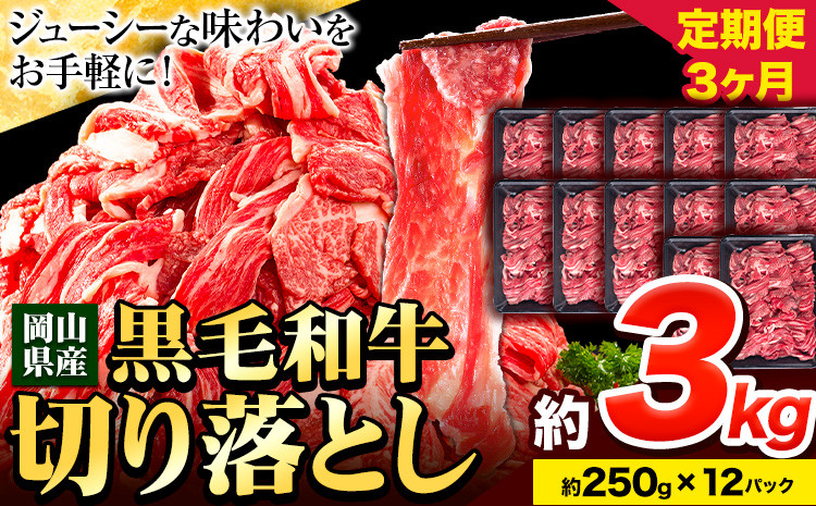 
【3ヶ月定期便】牛肉 肉 黒毛和牛 切り落とし 訳あり 大容量 小分け 3kg 1パック 250g 定期便《お申込み月翌月から出荷開始》岡山県産 岡山県 笠岡市 お肉 にく カレー 牛丼 切り落し 切落し
