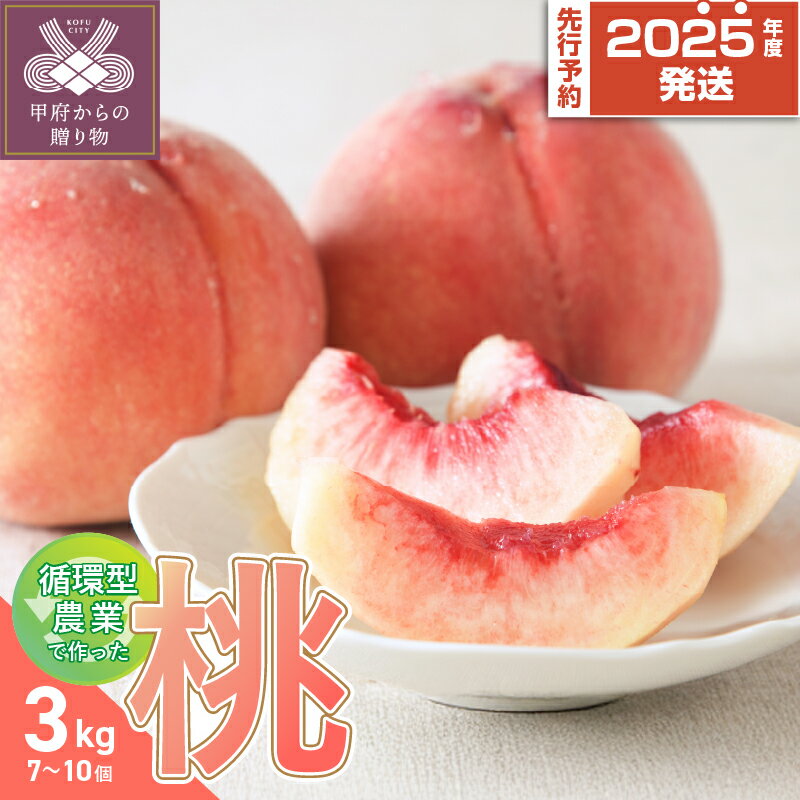 【ふるさと納税】 桃 ピーチ 山梨県産 甲府市産 自然塾 3kg 7〜10個 特別栽培 冷蔵 2025年6月下旬～8月下旬順次発送 期間限定 数量限定 k280-005