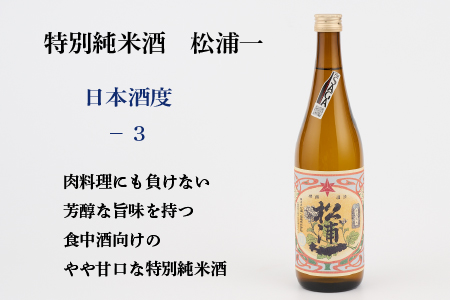 TheSAGA認定酒　特別純米酒おまかせ1本(H072192)