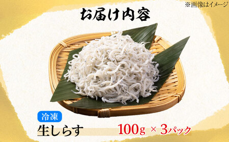 生しらす 100g×3個 しらす [XBY013] しらす しらす しらす しらす