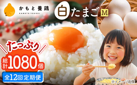 【全12回定期便】白たまご M玉 90個（85個＋5個割れ保証）【株式会社 かもと養鶏】タマゴ 玉子 熊本県 卵 国産 新鮮 しろたまご M玉 濃厚 [ZCA008]