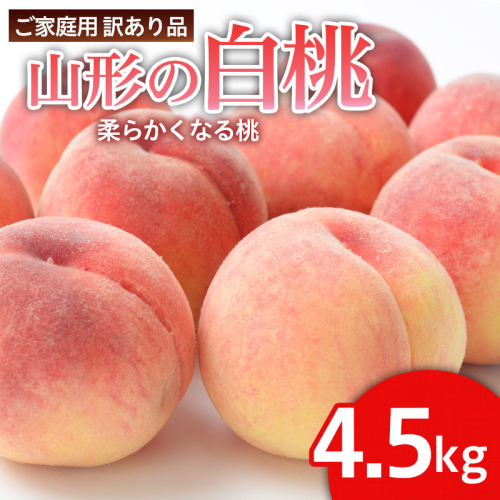 【ご家庭用訳あり品】山形の白桃(やわらかくなる桃) 4 .5kg以上(18玉～25玉)【令和8年産先行予約】FS25-098