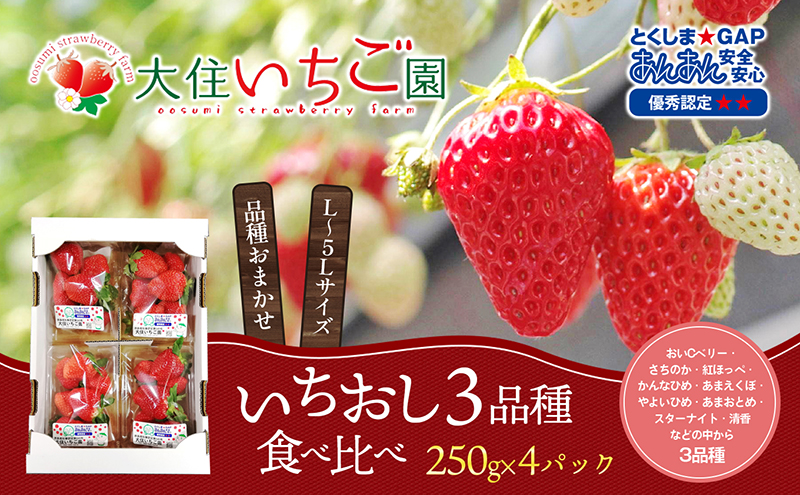 個性派いちご3品種食べ比べセット　250g×4パック　『とくしま安2（安全・安心）GAP農産物』優秀認定取得 果物 フルーツ デザート おやつ 旬の果物 旬のフルーツ ストロベリー