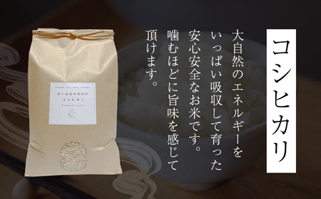 令和8年産先行予約 やくの自然栽培米 コシヒカリ 玄米 10kg ゆたか（ゆたか自然農園）