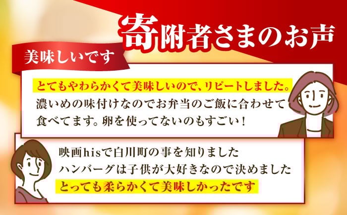 贅沢なやわらかハンバーグ 食べ比べ セット 豚肉 和風 洋風 白川町