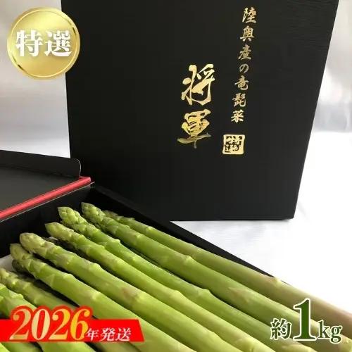 No.2152【特選】陸奥産の竜髭菜（アスパラガス）"将軍" 約1kg