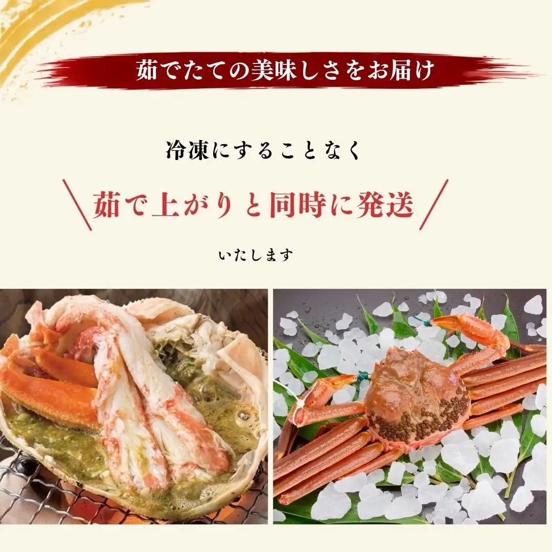  【先行予約】本ズワイガニ ボイル 800g 約400グラム 2杯 | 茹で 新潟県 佐渡市 ズワイガニ