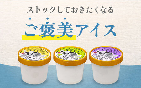 【全12回定期便】ミルク工房 カップアイスセット（130ml×20個）《喜茂別町》【ニセコリゾート観光協会】 アイス アイスクリーム ジェラート ミルク 抹茶 ブルーベリー 冷凍 冷凍配送[AJAI0