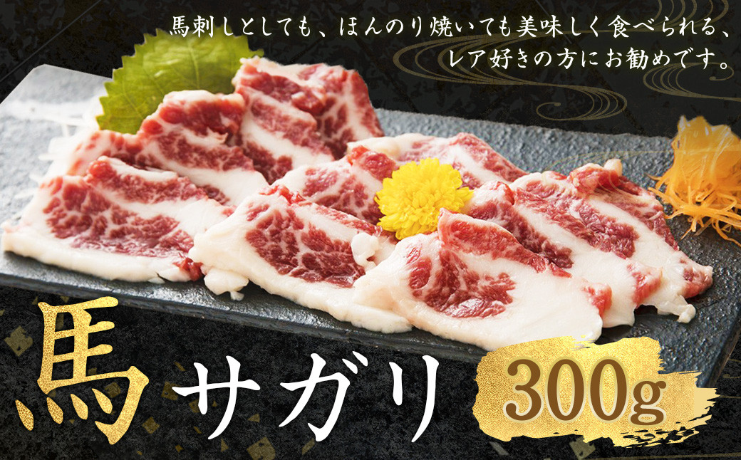 
            馬サガリ 約300g 馬刺し 馬刺 お肉 肉 馬肉 カルビ ブロック
          