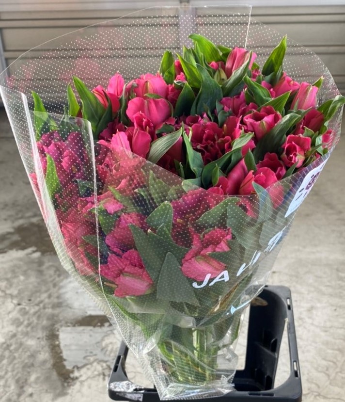 アルストロメリア 1束 ( 10本入り ) ピンク系 切り花