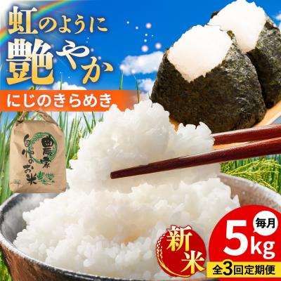 ふるさと納税 糸島市 【全3回定期便】 にじのきらめき 白米 5kg  [AGR015]