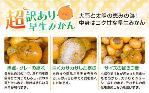 みかん 超訳あり早生みかん 約5kg 《12月上旬-2月上旬頃出荷》 和歌山県 日高川町 みかん ミカン 早生みかん 蜜柑 柑橘 訳あり 果物 くだもの フルーツ 青果物