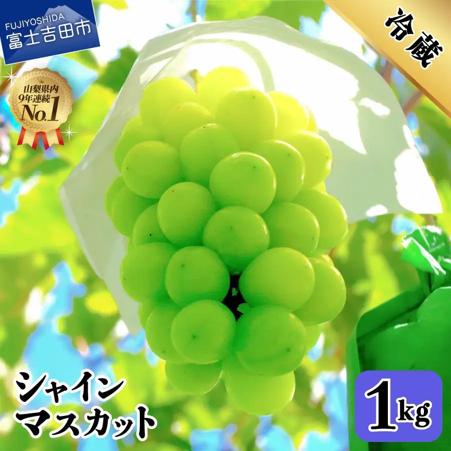 フルーツ 【2027年発送 先行予約】山梨県産 シャインマスカット約1kg（2～3房） シャイン マスカット