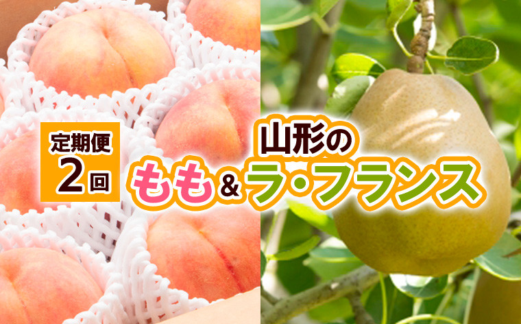 
            【定期便2回】山形の　もも＆ラ・フランス 【令和7年産先行予約】FU23-797 フルーツ定期便 くだもの 果物 桃 白桃 なし 梨 洋梨 洋なし ラフランス 山形 山形県 山形市 2025年産
          