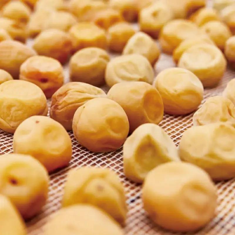 紀州南高梅  ［はちみつ味梅　うす塩味梅］ 各700g  / 和歌山 田辺市 紀州南高梅 南高梅 梅干し 梅干 梅 うめ シロップ【hnt011-4】