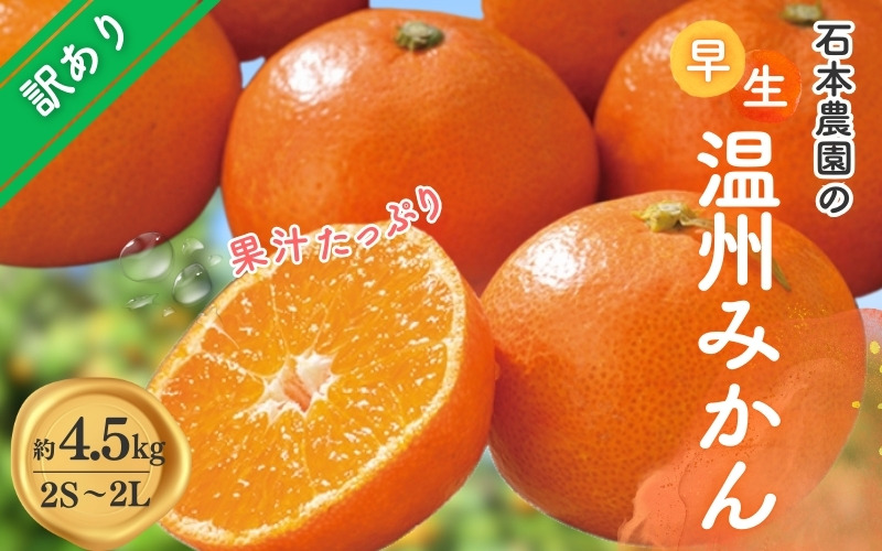 みかん 訳あり 2S-2Lサイズおまかせ 石本農園の早生温州みかん 約4.5kg【11月下旬から12月末頃までに順次発送】 / みかん ミカン 蜜柑 早生温州 早生 訳あり　おまかせ【mis014B】