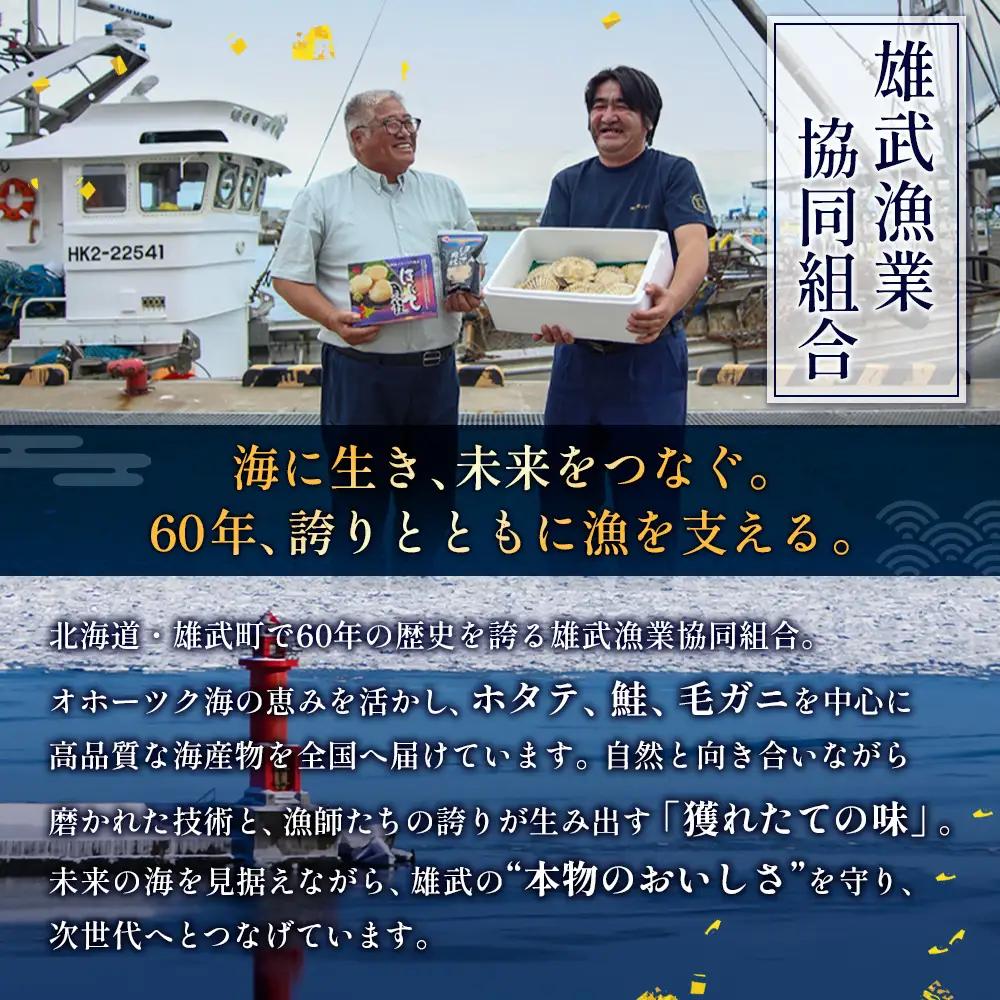 北海道雄武町産ほたて貝柱4S1kg（冷凍）【0711604】