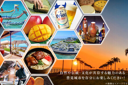 ★あとから選べる★沖縄県豊見城市ふるさとギフト 寄附額：35万円分｜沖縄県 沖縄 豊見城市 ふるさと納税 あとから選べる 選べる ホテル 旅行 観光 フルーツ 果物 マンゴー 海 コース 人気 送料無