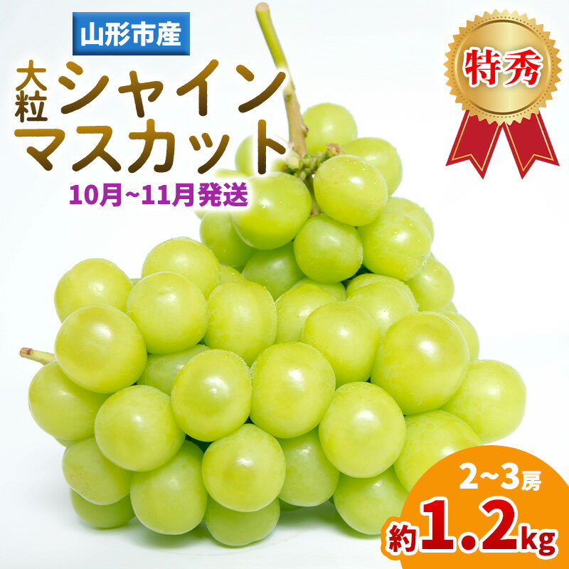 【ふるさと納税】山形産 大粒シャインマスカット 約1.2kg(2～3房)(10～11月発送分) FY25-283
