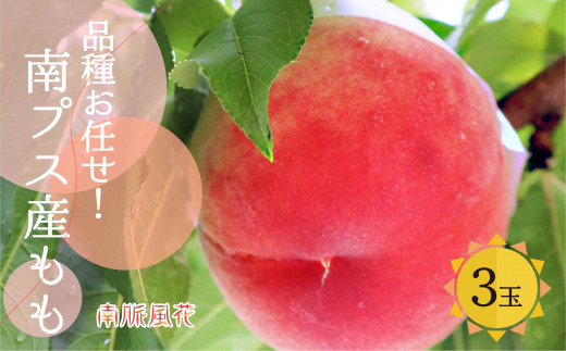 ＜2026年発送分先行予約＞朝もぎ直送！桃　食べきりサイズ3玉 ALPAJ002