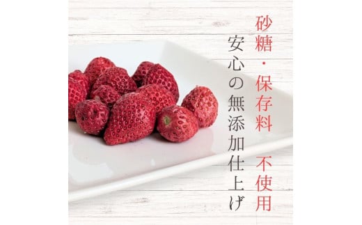 メルカドレグメス　フリーズドライフルーツ　いちご ／ フリーズドライフルーツ フリーズドライ フルーツ 果物 くだもの いちご イチゴ 苺 自家製 3000円