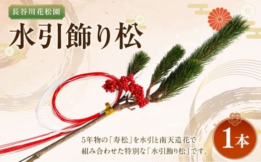 【2025年10月上旬～2026年3月下旬迄発送予定】水引飾り松 1本 寿松 松 5年物 水引 造花南天 南天 ハウス栽培 お正月 お祝い 引き出物 御中元 プレゼント