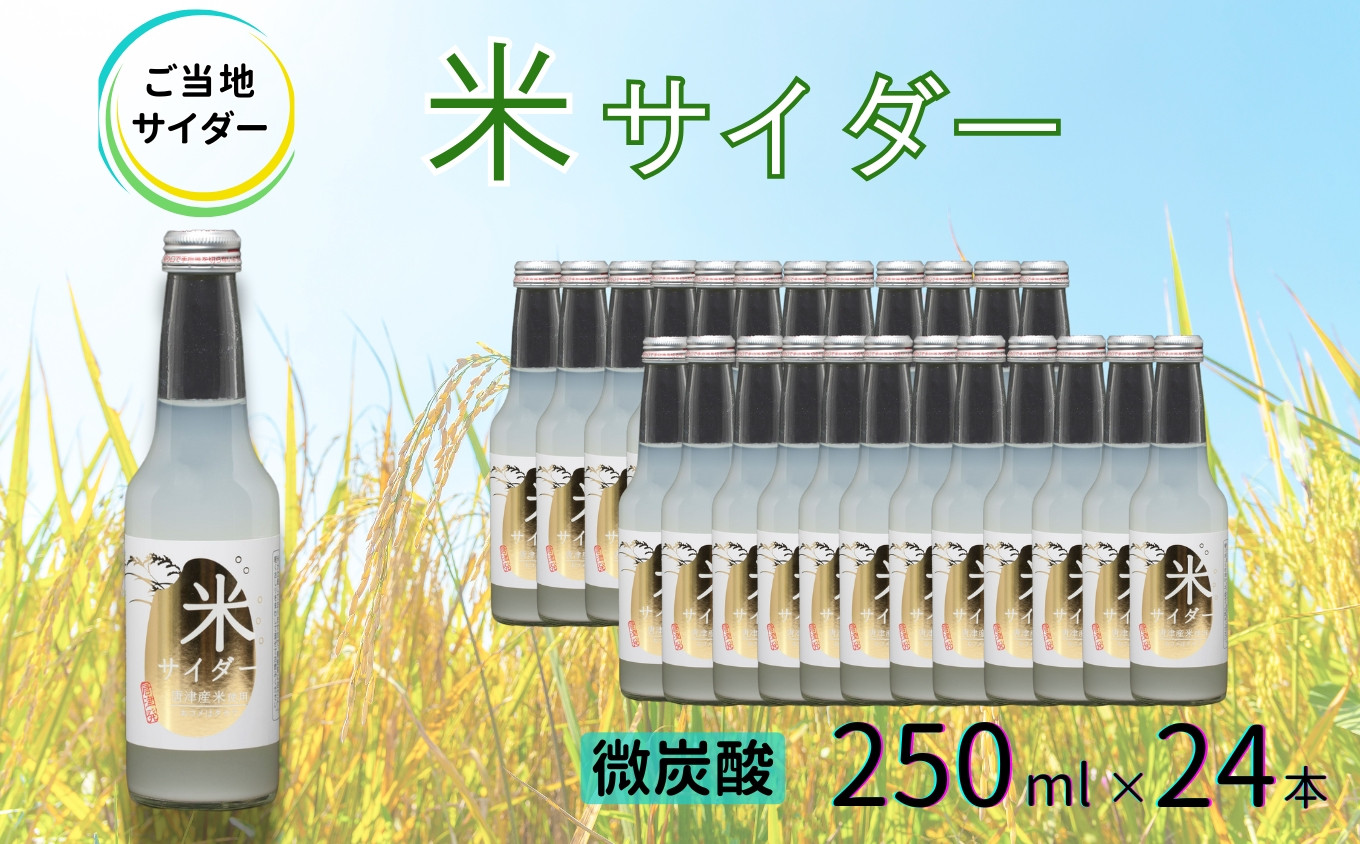 
            【地サイダー】米サイダー250ml瓶×24本［A0182-0002］
          