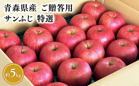 【レビューキャンペーン】1月発送 【特選】サンふじ5㎏【りんご・青森・平川・特選・宮川商店・1月】[hi-0054-003-1]