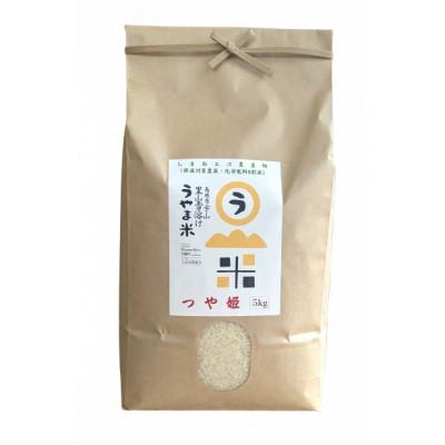 ふるさと納税 雲南市 神話の里/吉田町「うやま米」つや姫 5kg(5kg×1) |  | 01