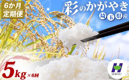 【6回定期便】 精米 5kg ×6回 彩のかがやき 米 定期便 白米