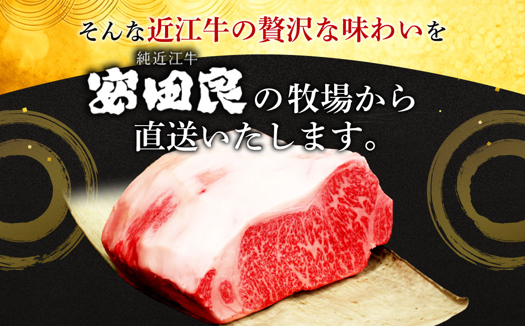 【近江牛１kgサーロインブロック】近江牛　厳選ブロック肉　１kg AD-E03 安田牧場