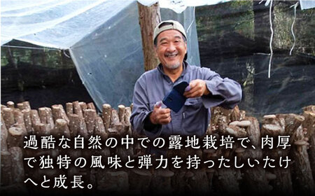 対馬 あべまき 原木 しいたけ 中葉厚肉 140g肉厚 椎茸 煮物 干ししいたけ 和食  [WBJ002]
