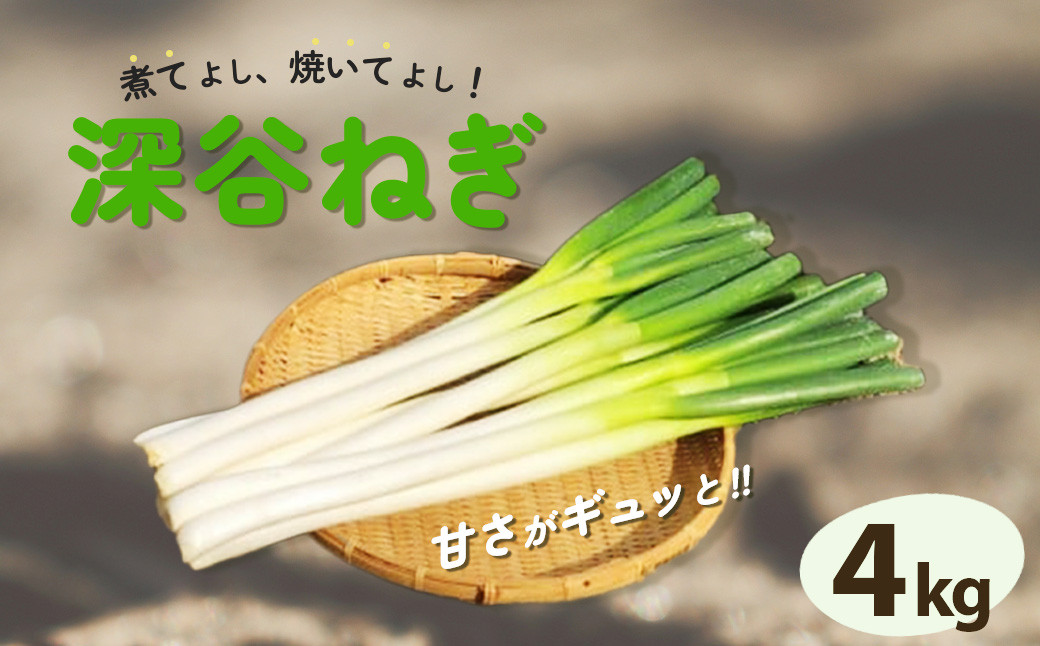 
＜先行受付＞煮てよし、焼いてよし！甘さがギュッと！深谷ねぎ　4kg　【11218-0240】
