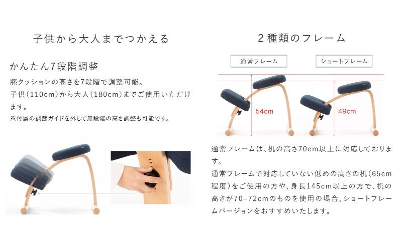 バランス イージー(カバー付き) インテリア 家具 姿勢矯正 姿勢が良くなる椅子 姿勢が気になる 姿勢をよくする椅子 日本製造　