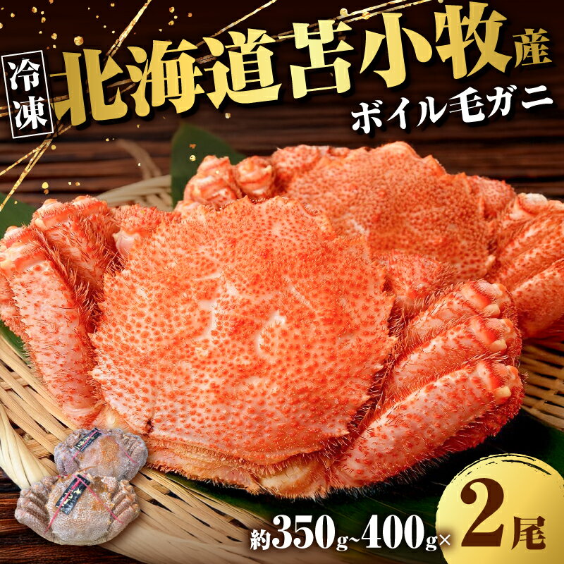 【ふるさと納税】北海道 苫小牧産 冷凍 ボイル 毛ガニ 350g ～ 400g 2尾入 蟹 カニ かに 海鮮 魚介 魚 カニ味噌 毛がに 味噌汁 鍋 北海道産毛ガニ 北海道産蟹 冷凍 マルマサ 恵千フーズ 苫小牧市 おすすめ ランキング プレゼント ギフト