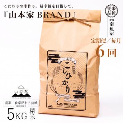 ふるさと納税 南魚沼市 【毎月定期便】南魚沼産コシヒカリ精米5kg【従来品種】山本家全6回