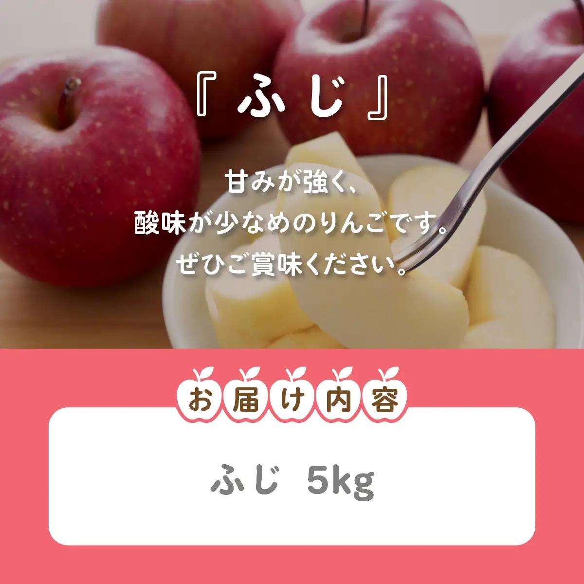 【先行予約】ふじ5kg (令和8年12月中旬頃より順次発送) NABU003