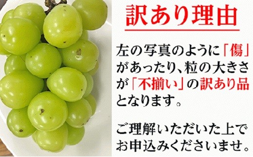 ※画像はイメージです。