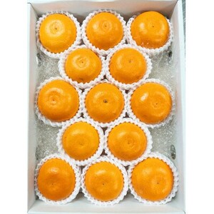 とろける食感!ジューシー柑橘　せとか　約2.5kg【1596874】