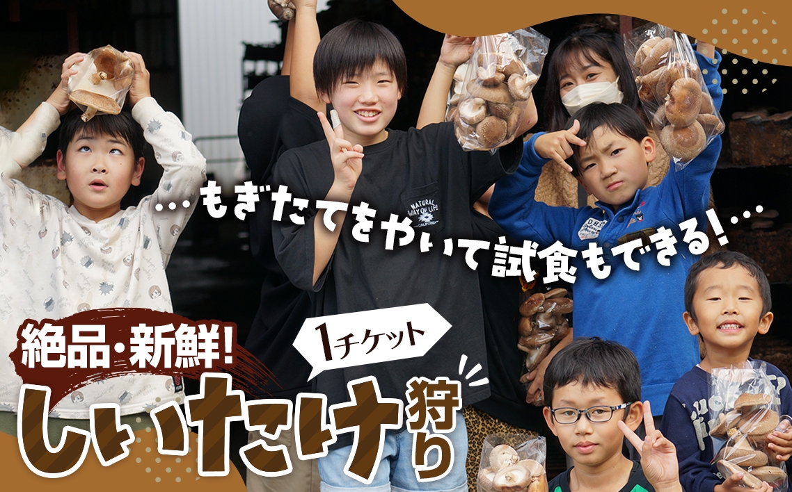 
            No.207 【★絶品・新鮮★しいたけ狩り！】もぎたてを焼いて試食もできるしいたけ狩り！ファミリー・女性・カップルに◎♪ ／ 体験チケット 収穫体験 レジャー 椎茸 シイタケ ハウス内 雨天可 山口県
          