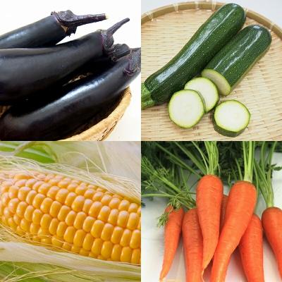 ふるさと納税 西都市 【先行受付】農家直送新鮮野菜と柚子こしょう詰め合わせセット[2607] |  | 02