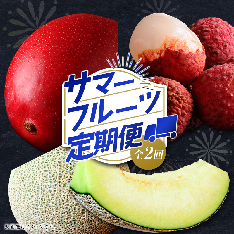 サマーフルーツ定期便 全2回 ＜メロン・マンゴー＆ライチ＞※2026年6月開始 旬 果物【E242-26】