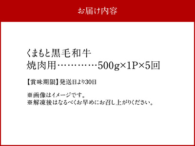 T89-152_5　【定期便5回】くまもと黒毛和牛　焼肉用　500ｇ_T89-0152_5