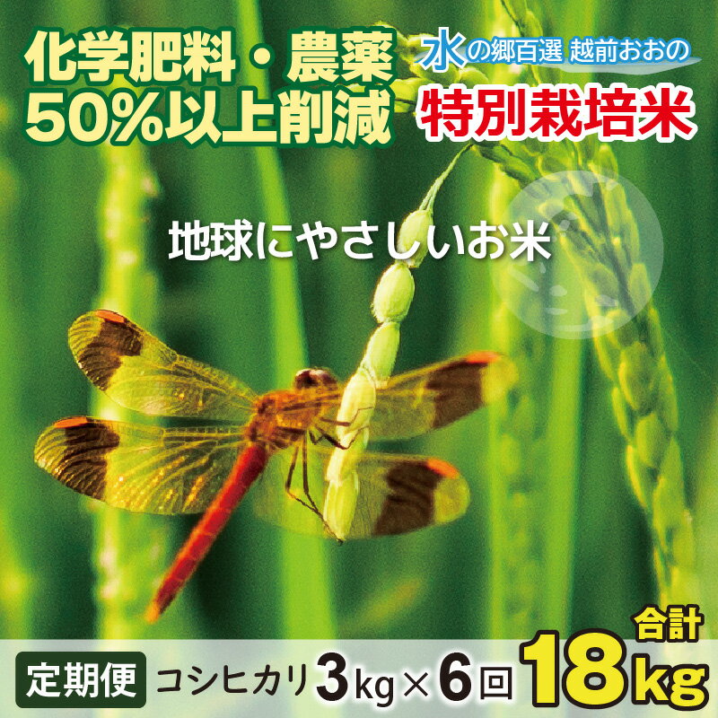 【ふるさと納税】【令和7年産 新米】【6ヶ月定期便】こしひかり 3kg × 6回 計 18kg【白米】減農薬・減化学肥料「特別栽培米」－地球にやさしいお米－【定期便・お米・コシヒカリ・定期便】[B-003002]