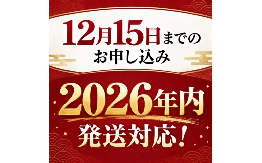 【特選生産者】南信州産 市田柿 1kg（200g×5）【大粒】 | マルス信濃物産 ★12/15までのお申し込みで 年内発送 ★ 果物 くだもの フルーツ 柿 かき 市田柿 長野県 信州 南信州 飯田