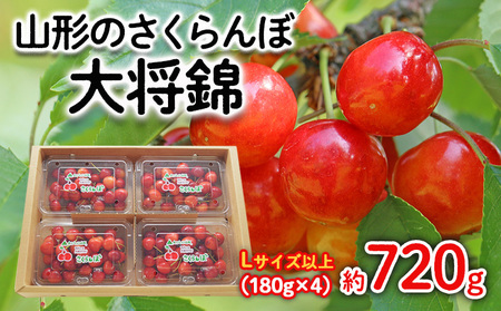 山形のさくらんぼ 大将錦 Lサイズ以上 720g(180g×4) 【令和8年産先行予約】FS25-525