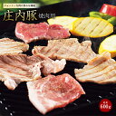 【ふるさと納税】庄内豚 焼肉用 F2Y-0717
