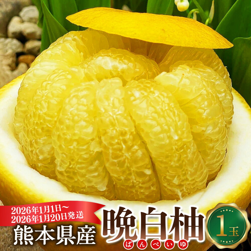 【ふるさと納税】熊本県産 晩白柚 1玉入り 2Lサイズ 約2kg 世界最大級 ザボン ギネス認定 柑橘 ばんぺいゆ 果物 フルーツ くだもの お取り寄せ 常温 九州 熊本県 送料無料 【2026年1月1日～2026年1月20日発送予定】