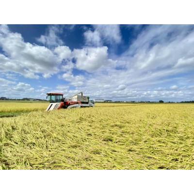 ふるさと納税 水戸市 新米　茨城県水戸市産　清衛門ーせいえもんー　精米5kg(新品種・ゆみはりづき)甘く、もっちり食感! |  | 02